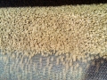 More dog food Drying